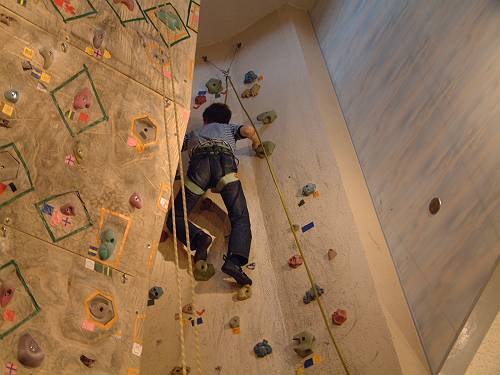 �t���[�N���C�~���O�ɒ���Q