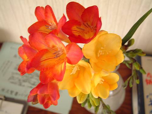 �󂯕t���̉�