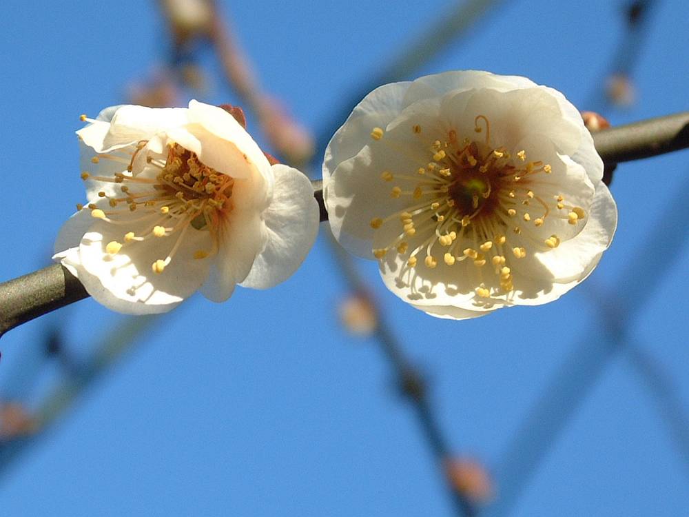 ���~�H���~