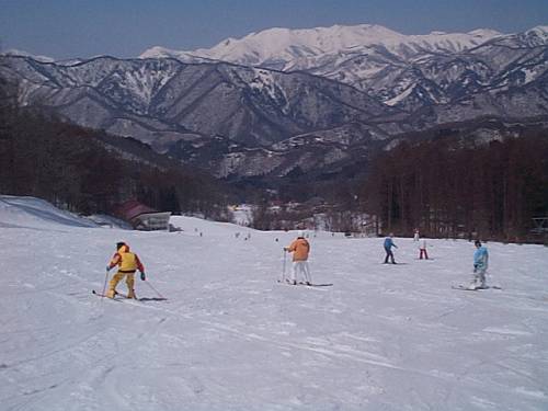 �X�L�[���p